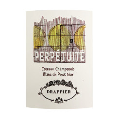 Champagne Drappier Brut Nature sans soufre